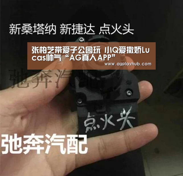 张柏芝带爱子公园玩 小Q爱撒娇Lucas帅气“AG真人APP”(图2) AG真人官方网站