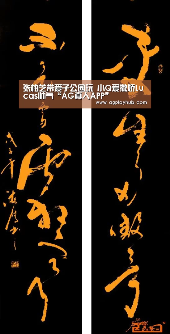 张柏芝带爱子公园玩 小Q爱撒娇Lucas帅气“AG真人APP”(图4) AG真人官方下载