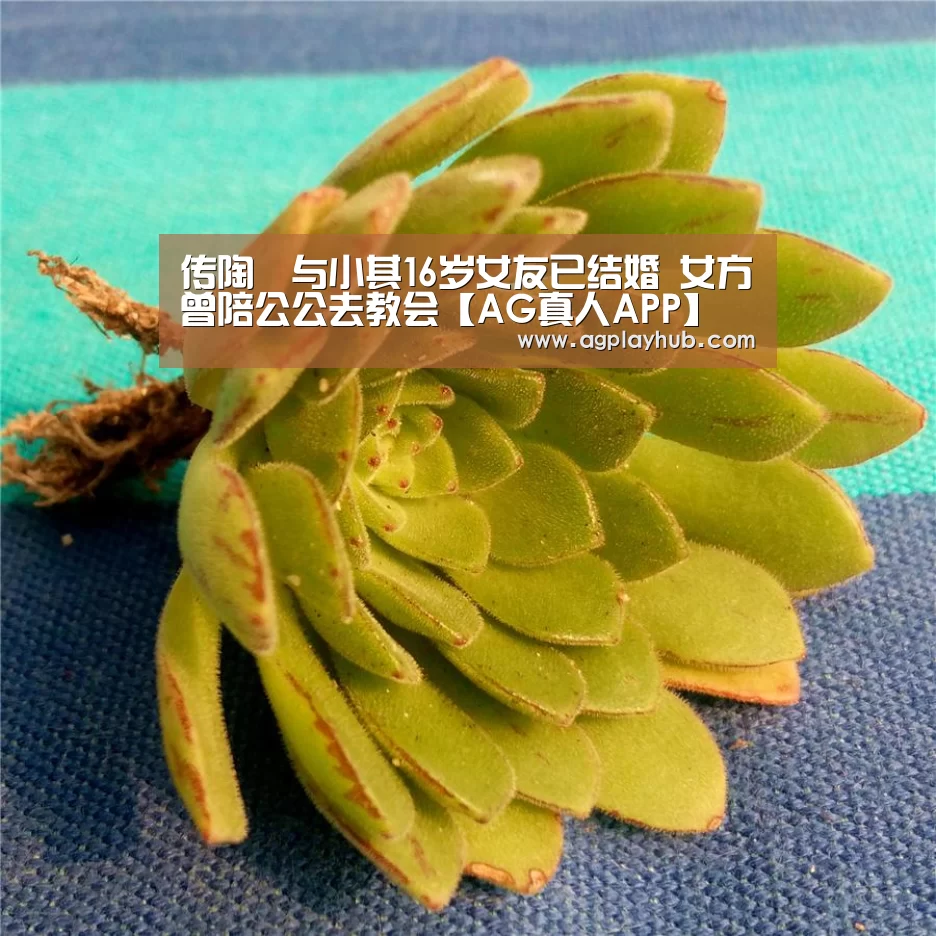 传陶喆与小其16岁女友已结婚 女方曾陪公公去教会【AG真人APP】(图1) AG真人官方网站