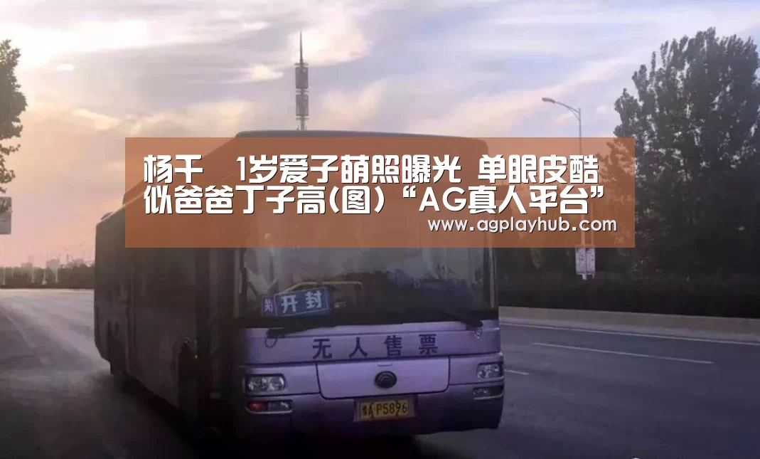 杨千嬅1岁爱子萌照曝光 单眼皮酷似爸爸丁子高(图)“AG真人平台”(图4) AG真人官方网站