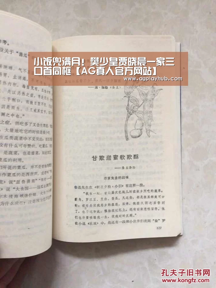 AG真人APP