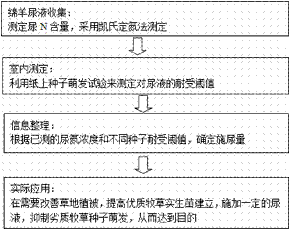 AG真人APP